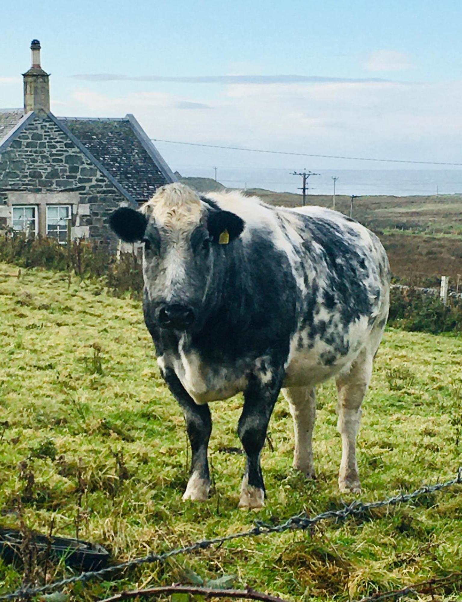 Burnside Lodge Portnahaven Экстерьер фото