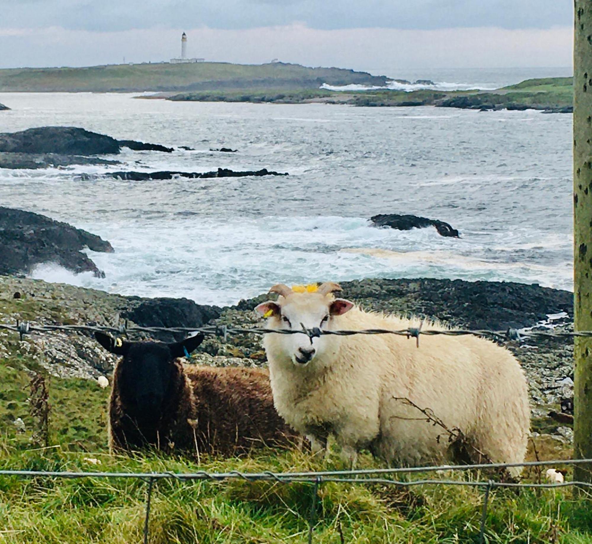 Burnside Lodge Portnahaven Экстерьер фото