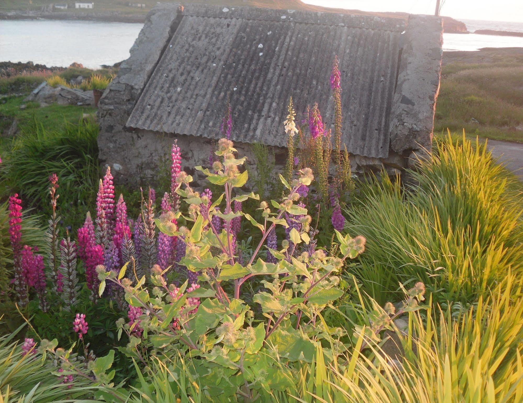 Burnside Lodge Portnahaven Экстерьер фото